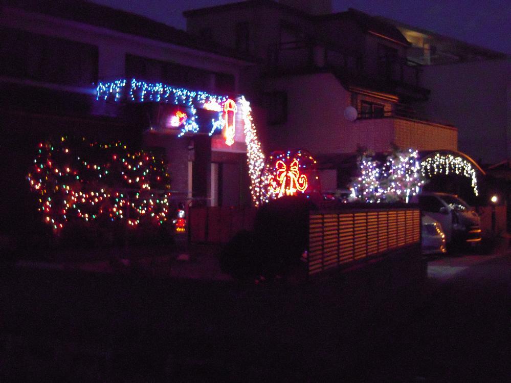 祖父江銀杏 037.jpg